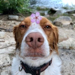 Meet your Posher, Rylee